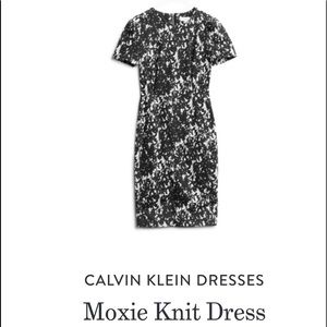 NWT Calvin Klein Moxie Dress Sz 8